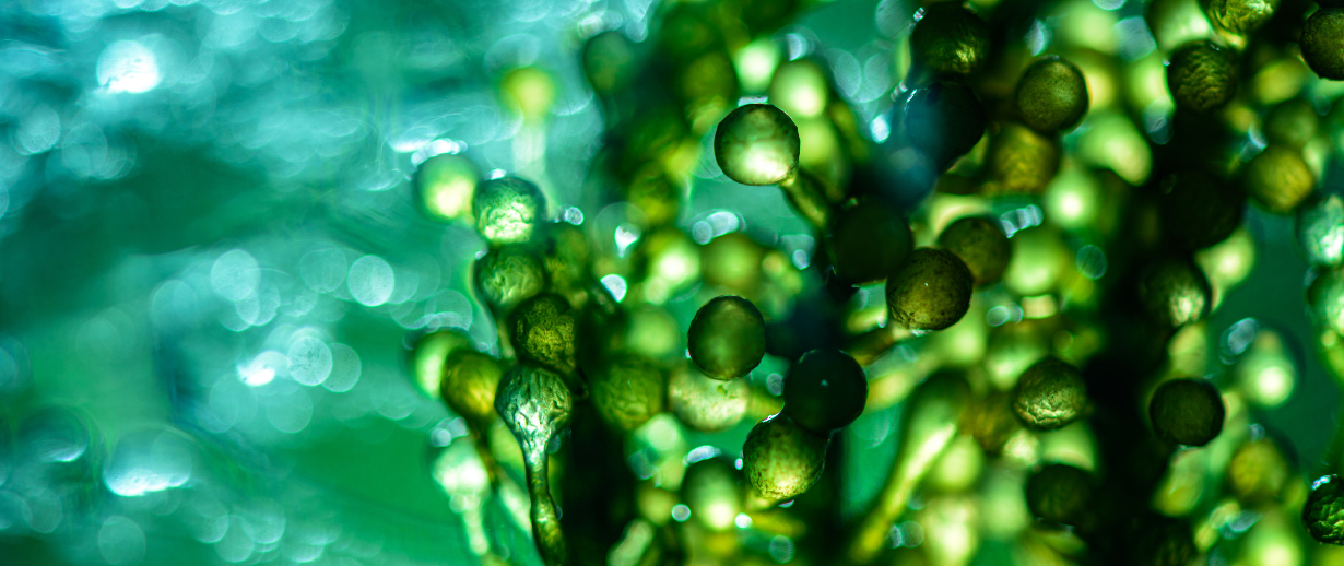 2024-DE-Blog Headers (9)