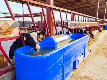 GER-DE-blog_zero_water_dairy